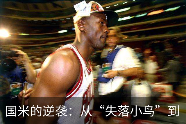 国米的逆袭：从“失落小鸟”到“拼搏的雄鹰”！
